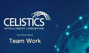 Celistics Logo